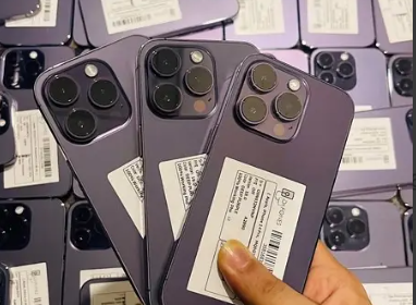 Screenshot-2024-11-29-001006