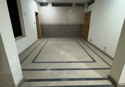 497830033-800×600-1