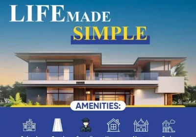 498273903-800×600-1