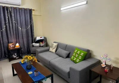 501524758-800×600-1