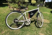 Electric tric bicycle/ebike