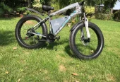 Electric tric bicycle/ebike