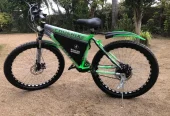 Electric tric bicycle/ebike