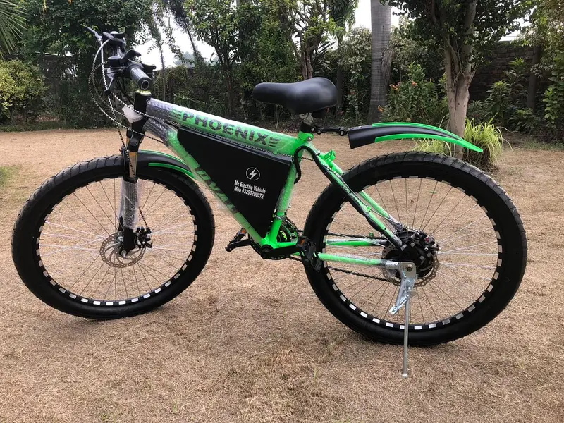 Electric tric bicycle/ebike
