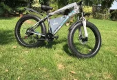Electric tric bicycle/ebike