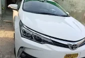 Toyota Corolla GLI 2019