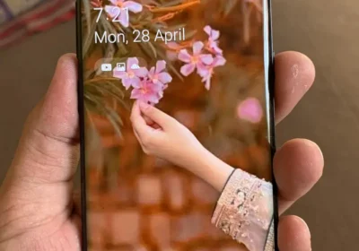 537148564-800×600-1