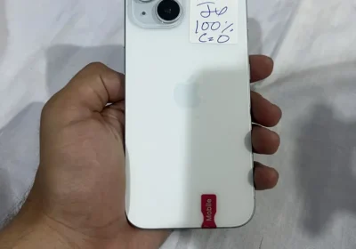 547837641-800×600-1